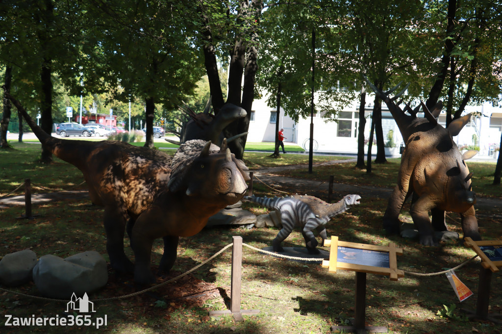 Wystawa Dinozaurów - Park Miejski Zawiercie