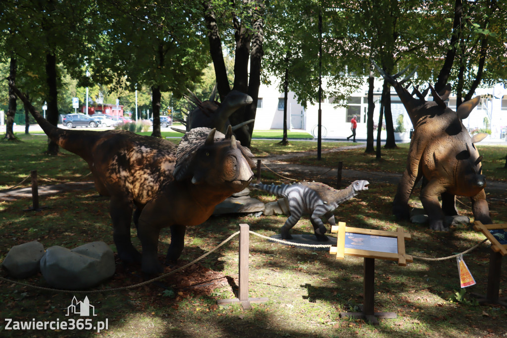 Wystawa Dinozaurów - Park Miejski Zawiercie
