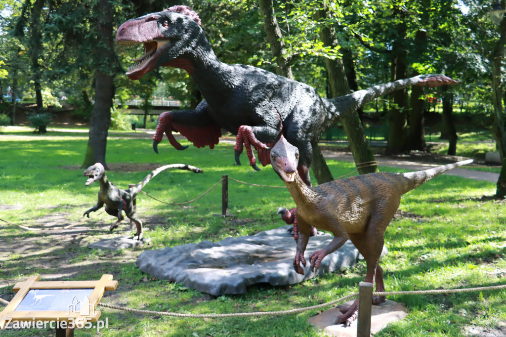 Wystawa Dinozaurów - Park Miejski Zawiercie