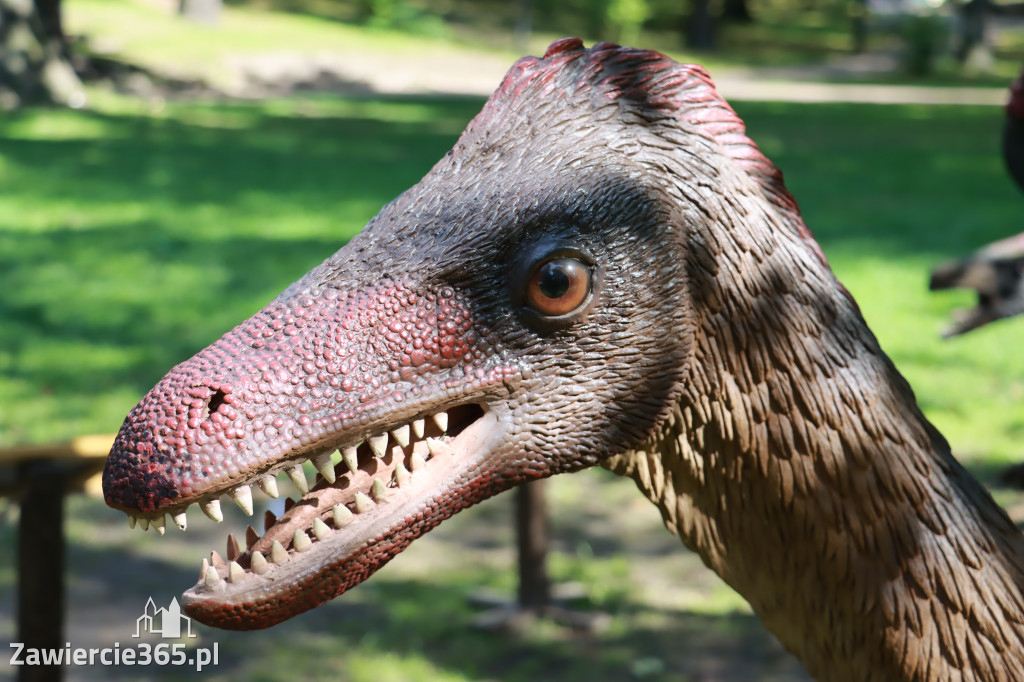 Wystawa Dinozaurów - Park Miejski Zawiercie