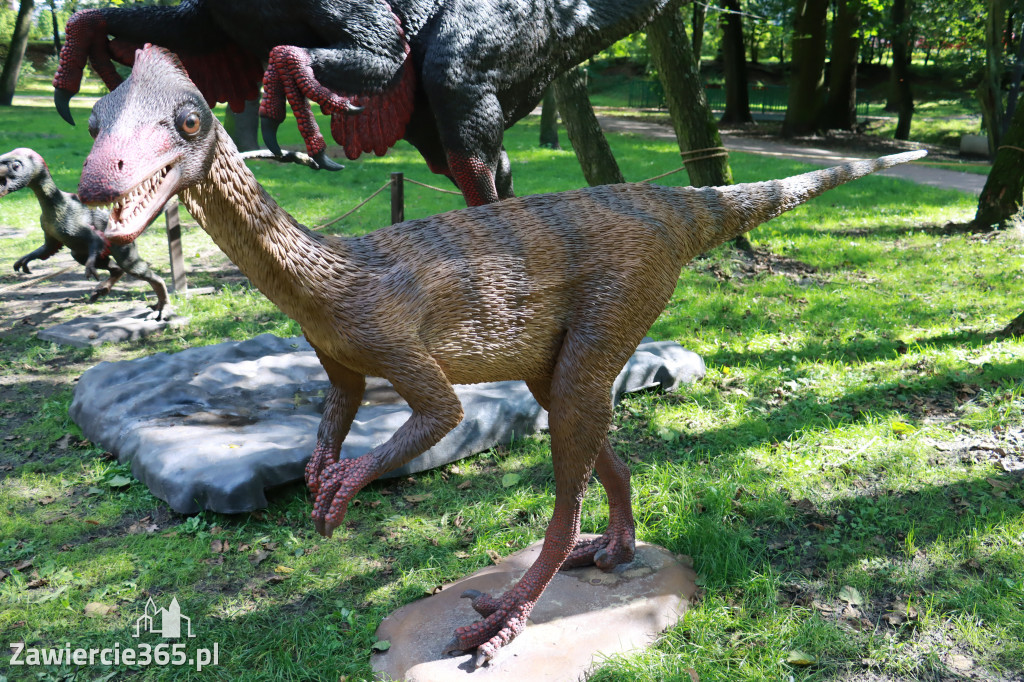Wystawa Dinozaurów - Park Miejski Zawiercie