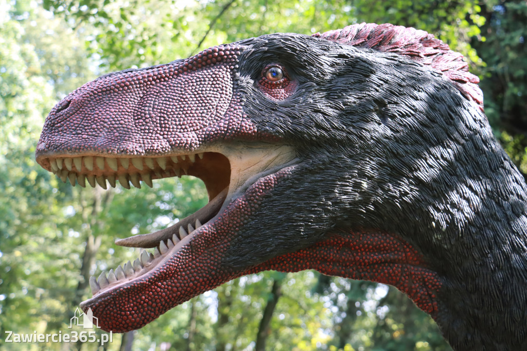 Wystawa Dinozaurów - Park Miejski Zawiercie
