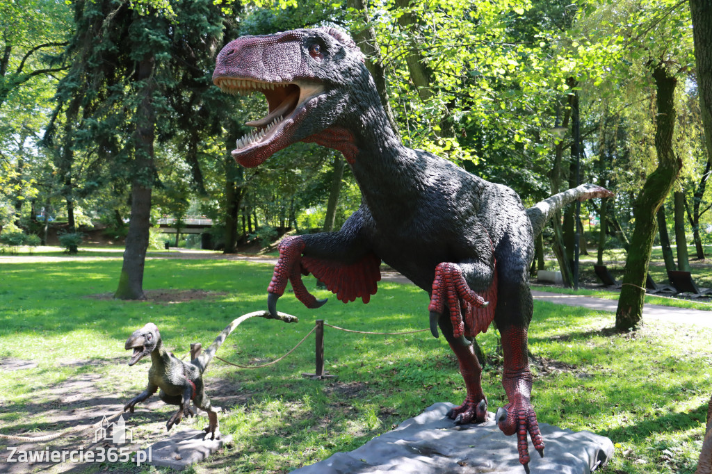 Wystawa Dinozaurów - Park Miejski Zawiercie