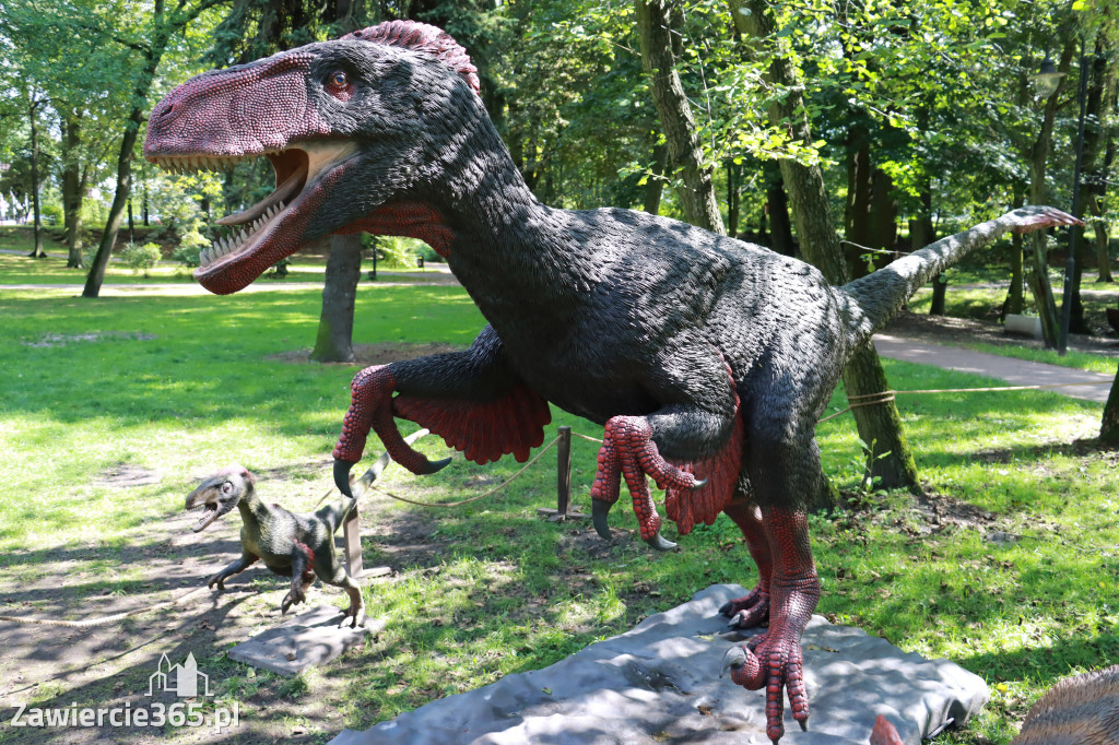 Wystawa Dinozaurów - Park Miejski Zawiercie