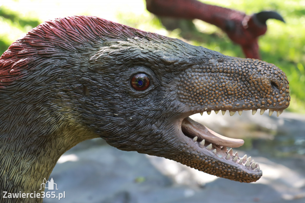 Wystawa Dinozaurów - Park Miejski Zawiercie
