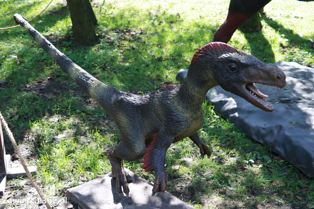 Wystawa Dinozaurów - Park Miejski Zawiercie