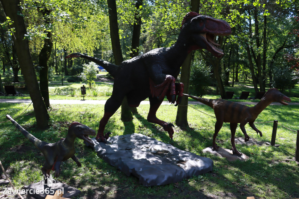 Wystawa Dinozaurów - Park Miejski Zawiercie