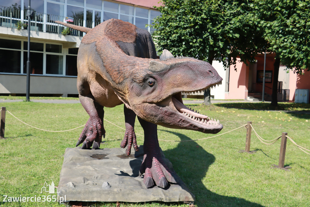 Wystawa Dinozaurów - Park Miejski Zawiercie
