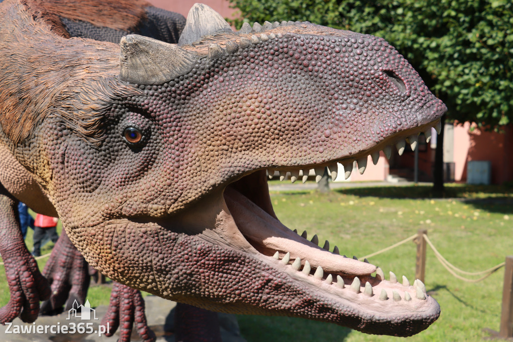 Wystawa Dinozaurów - Park Miejski Zawiercie