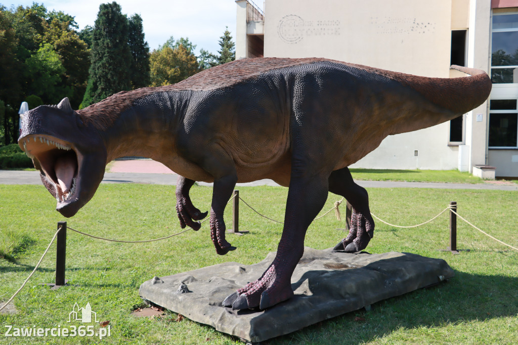 Wystawa Dinozaurów - Park Miejski Zawiercie