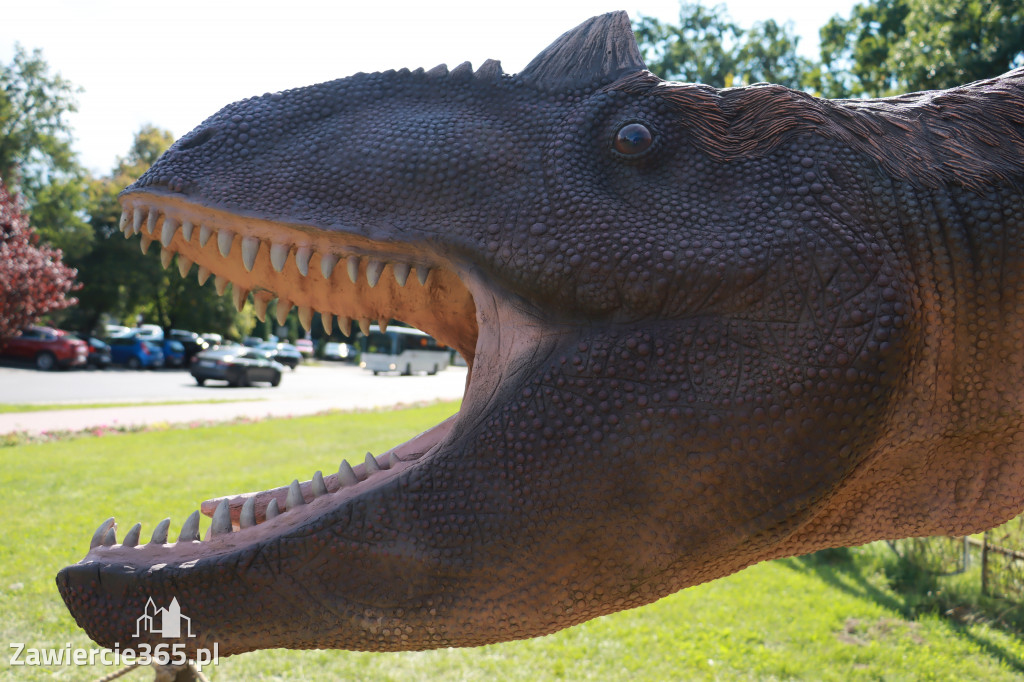 Wystawa Dinozaurów - Park Miejski Zawiercie