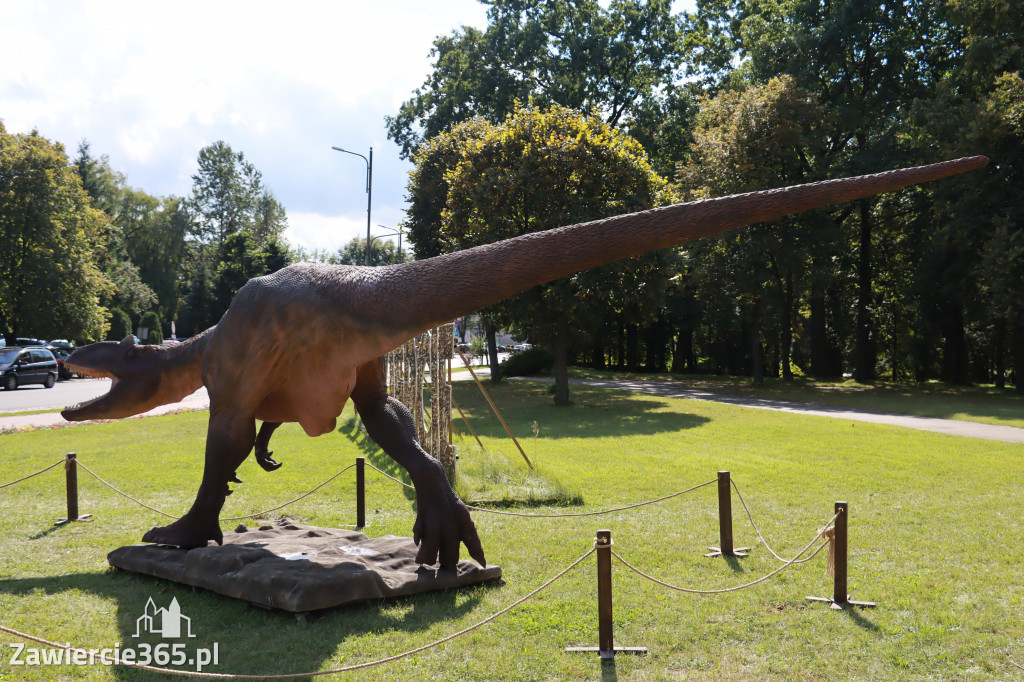 Wystawa Dinozaurów - Park Miejski Zawiercie