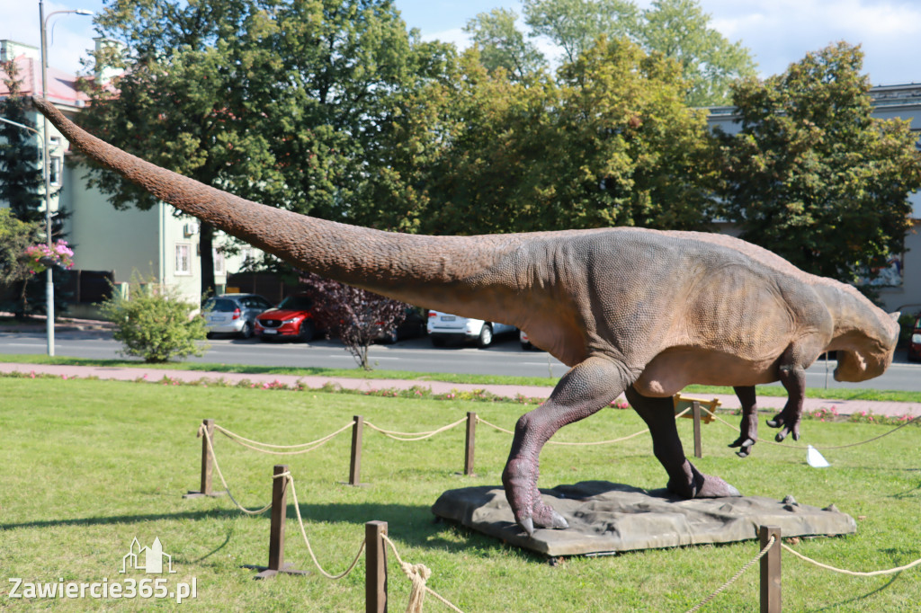 Wystawa Dinozaurów - Park Miejski Zawiercie