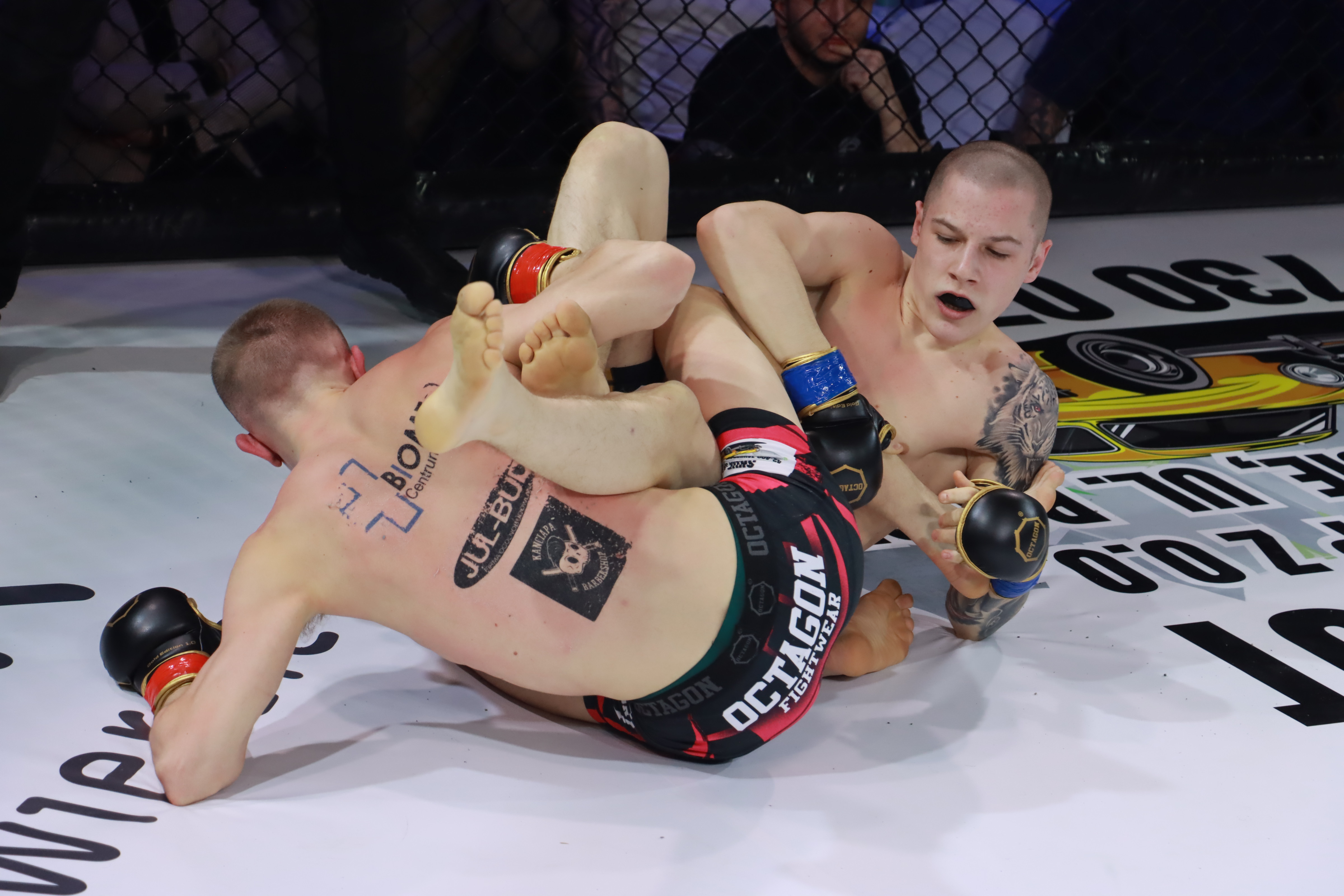 Fotorelacja - Gala Octagon Fight League 12. część 1