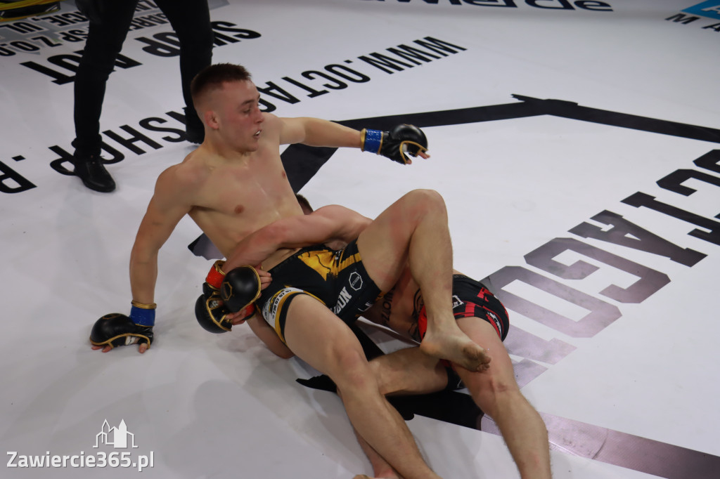 Fotorelacja - Gala Octagon Fight League 12. część 1