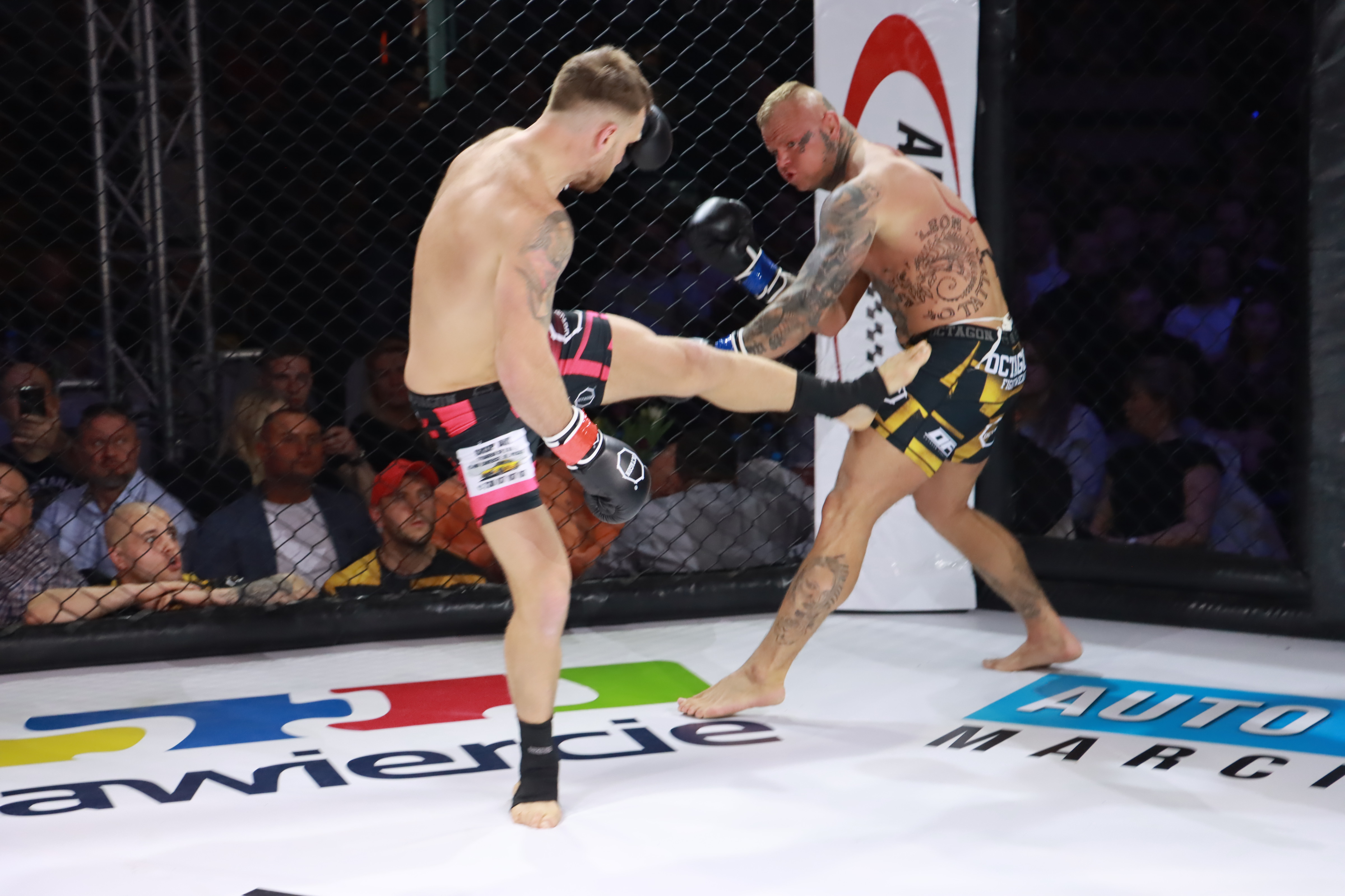Fotorelacja - Gala Octagon Fight League 12. część 2