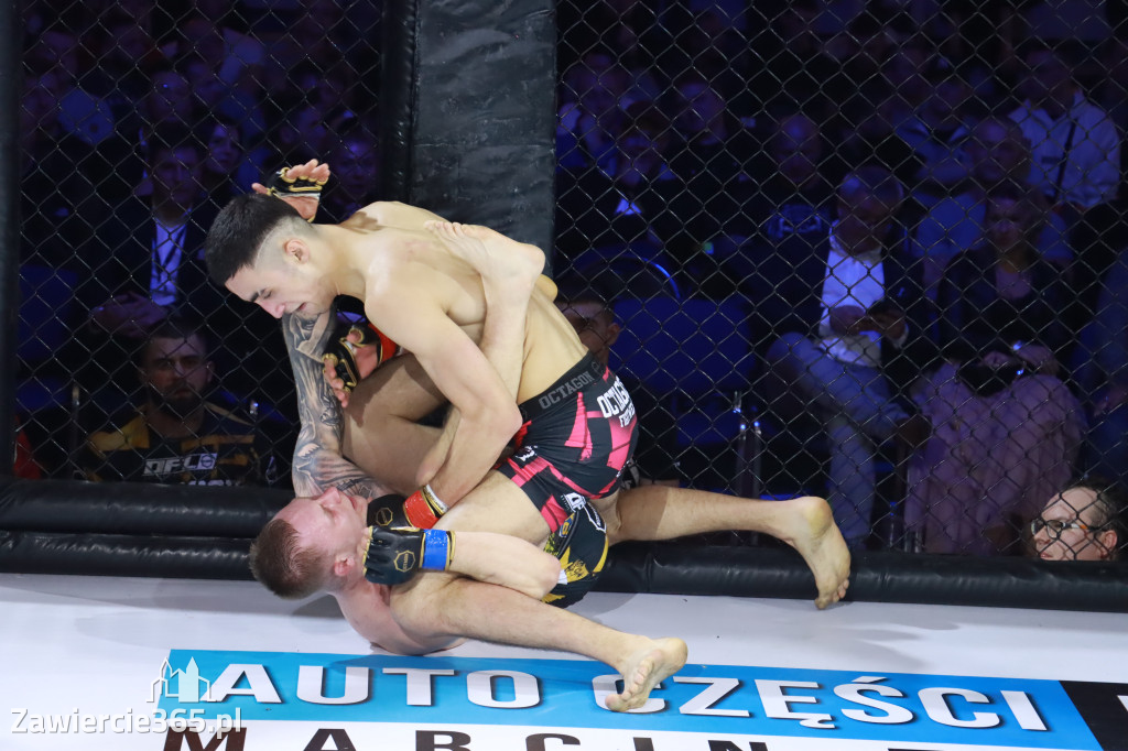 Fotorelacja - Gala Octagon Fight League 12. część 2
