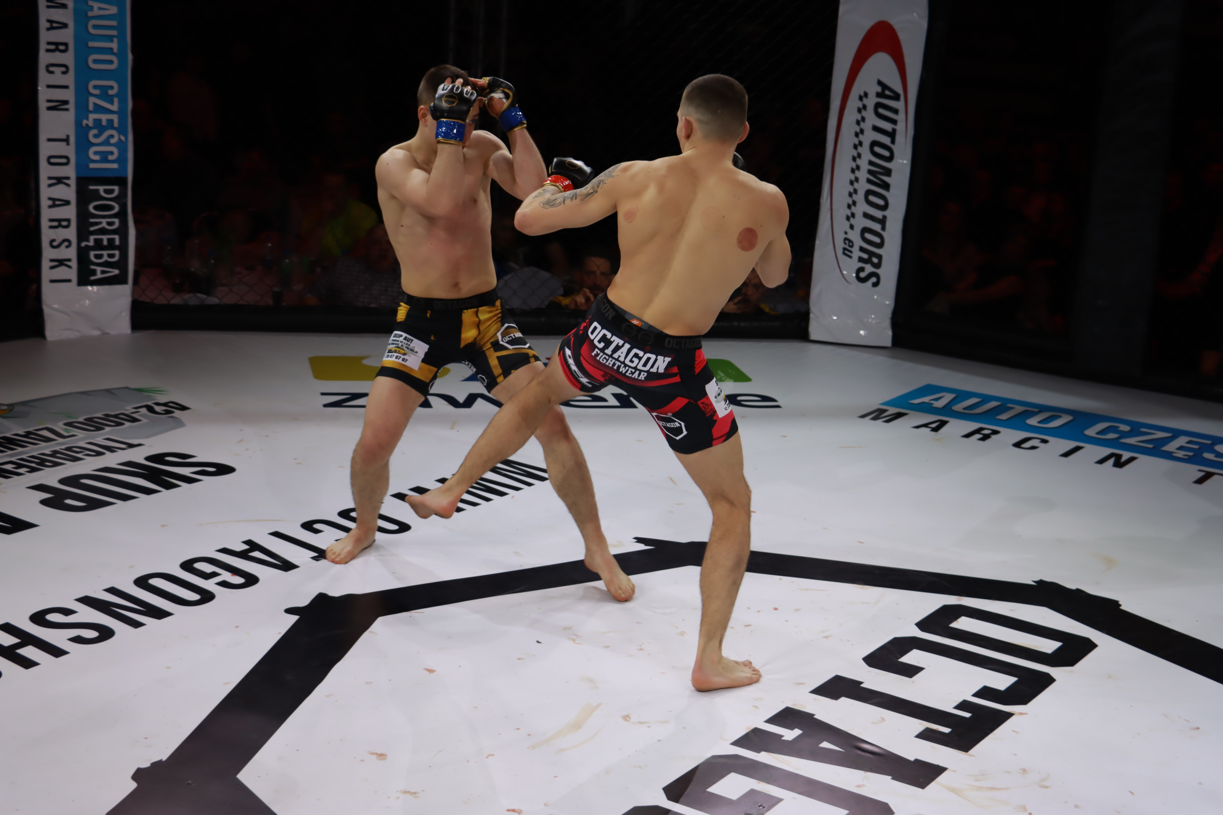 Fotorelacja - Gala Octagon Fight League 12. część 2