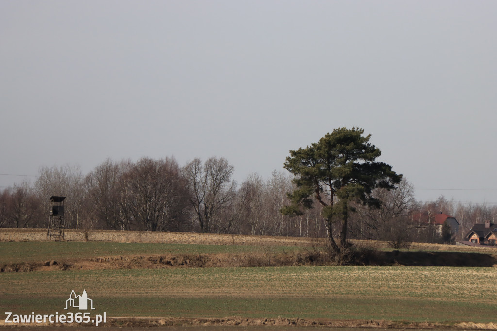 Fotorelacja - wiosna budzi naturę w Zawieriu