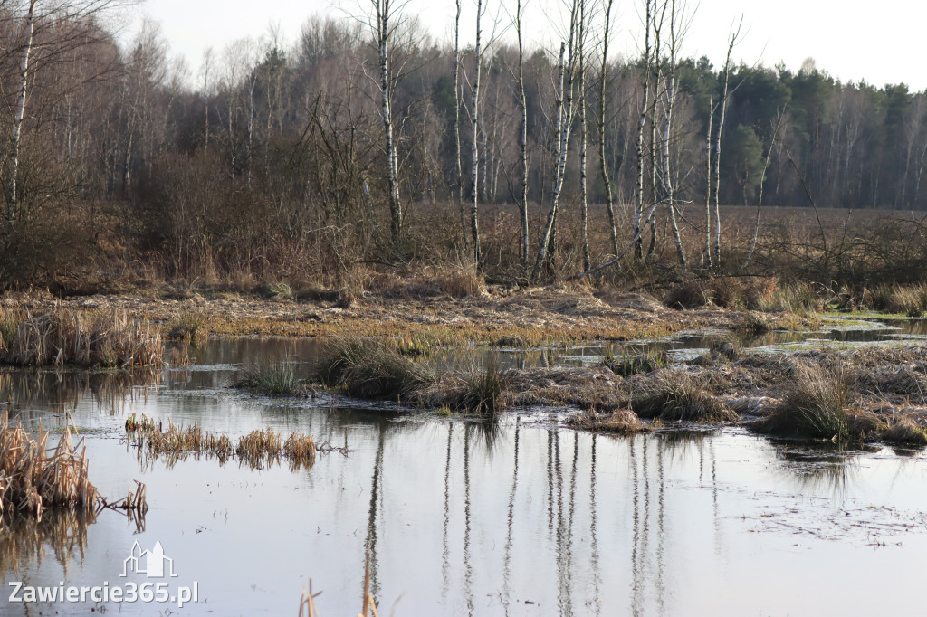 Fotorelacja - wiosna budzi naturę w Zawieriu