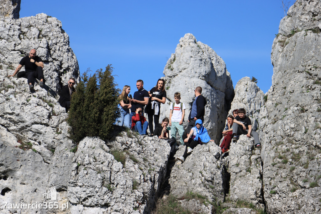 Fotorelacja. Zamek Ogrodzieniec: Pokazy Konne ,,Husaria
