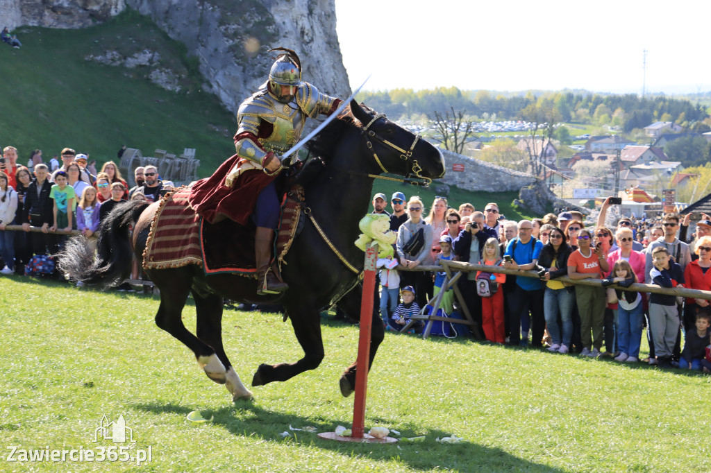 Fotorelacja. Zamek Ogrodzieniec: Pokazy Konne ,,Husaria