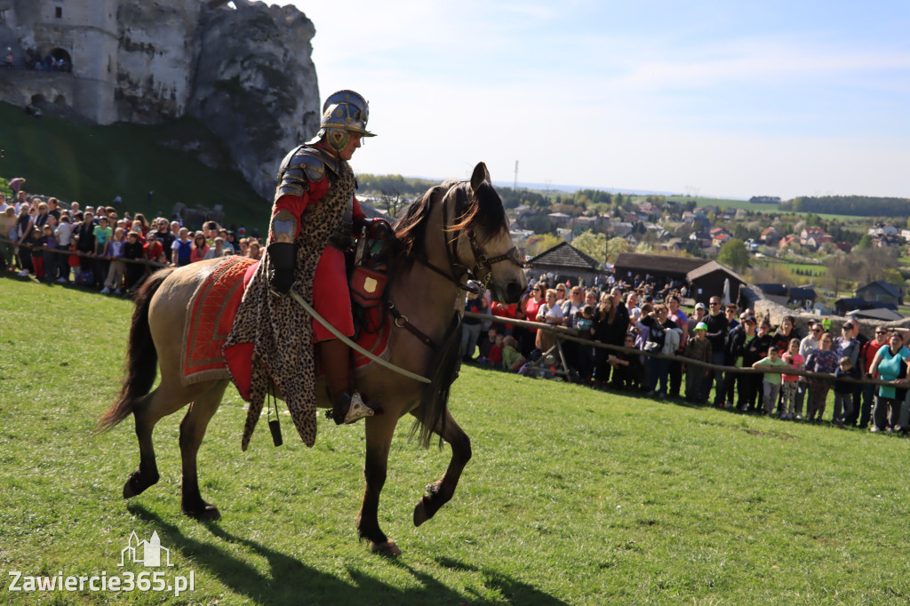Fotorelacja. Zamek Ogrodzieniec: Pokazy Konne ,,Husaria