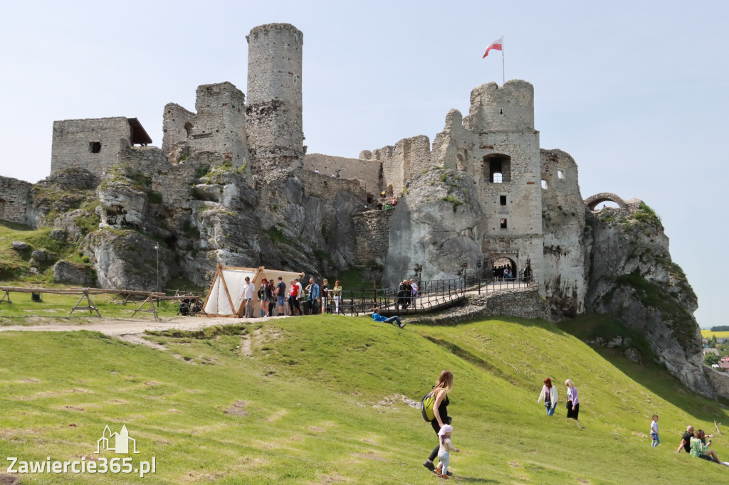 Mistrzostwa Polski w Grillowaniu Steków na Zamku Ogrodzieniec