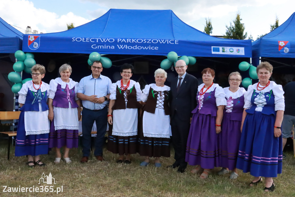Fotorelacja: Piknik z historią w tle we Włodowicach