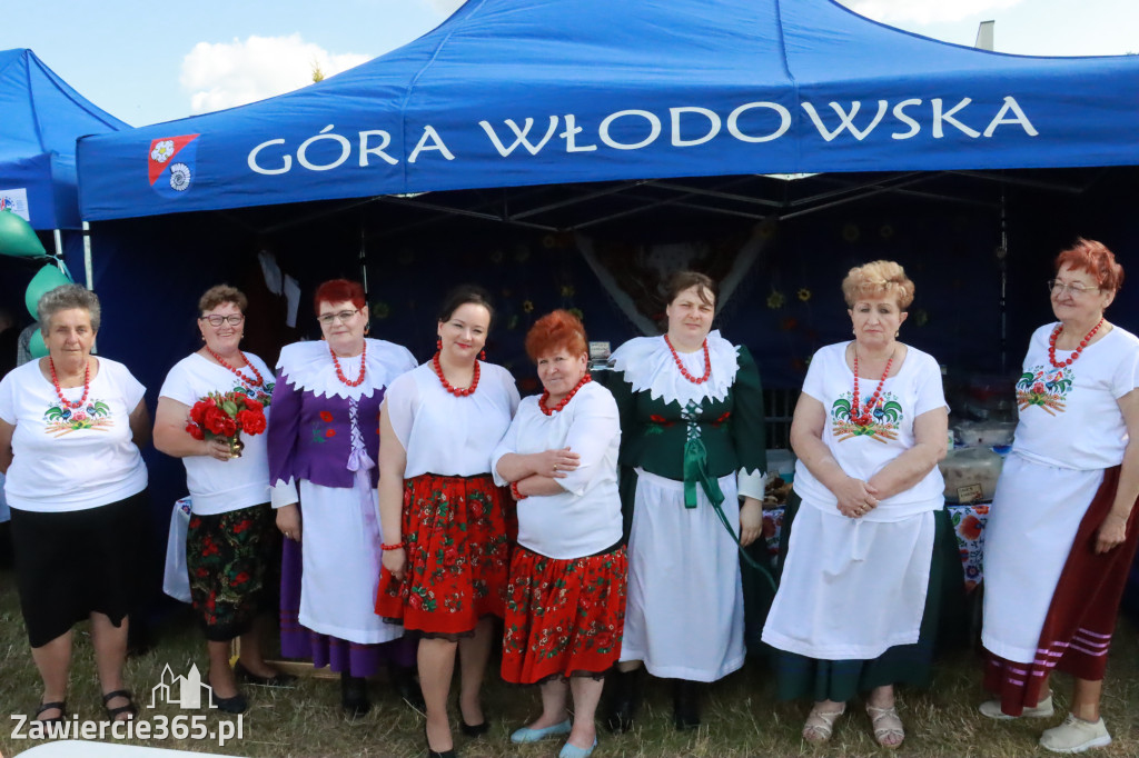Fotorelacja: Piknik z historią w tle we Włodowicach
