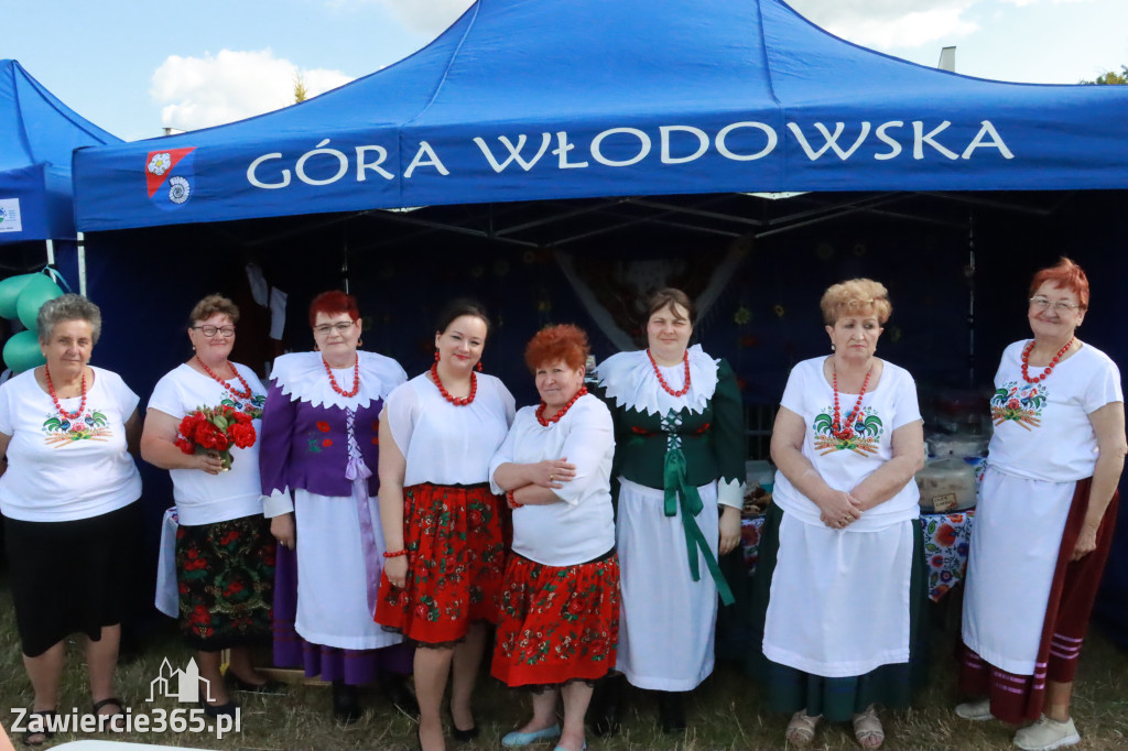 Fotorelacja: Piknik z historią w tle we Włodowicach