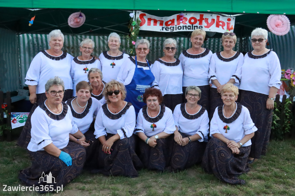 Fotorelacja: Piknik z historią w tle we Włodowicach