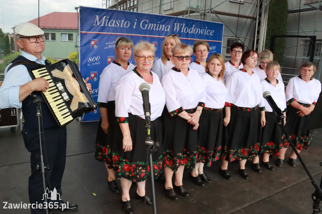 Fotorelacja: Piknik z historią w tle we Włodowicach