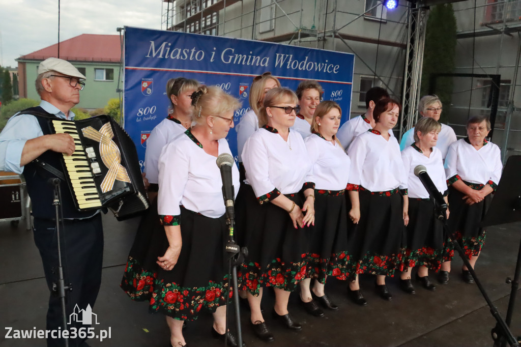Fotorelacja: Piknik z historią w tle we Włodowicach