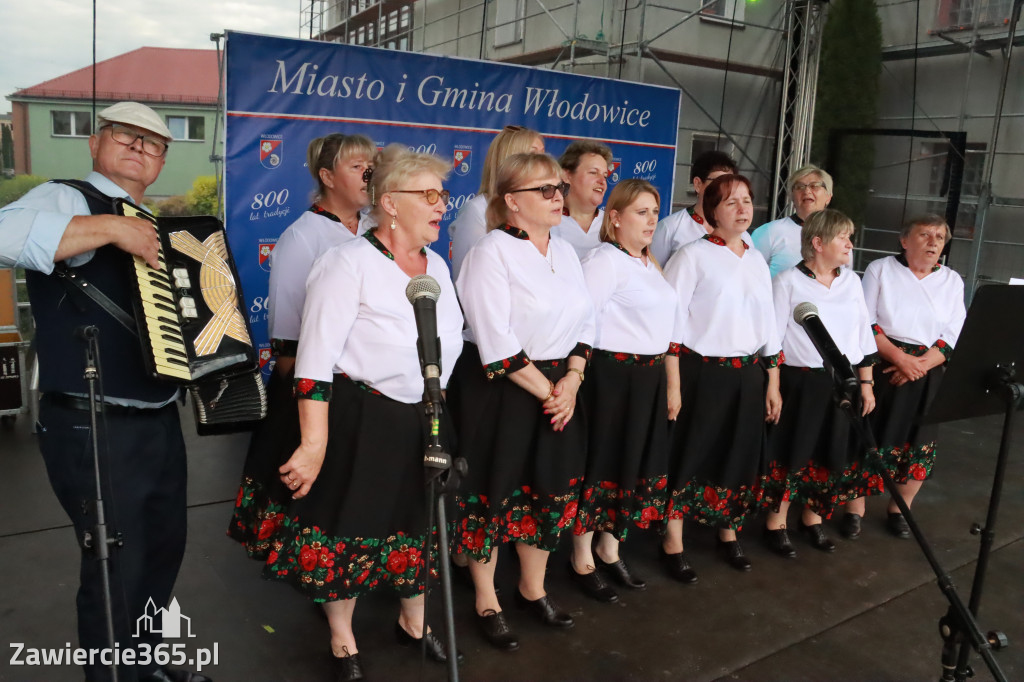 Fotorelacja: Piknik z historią w tle we Włodowicach