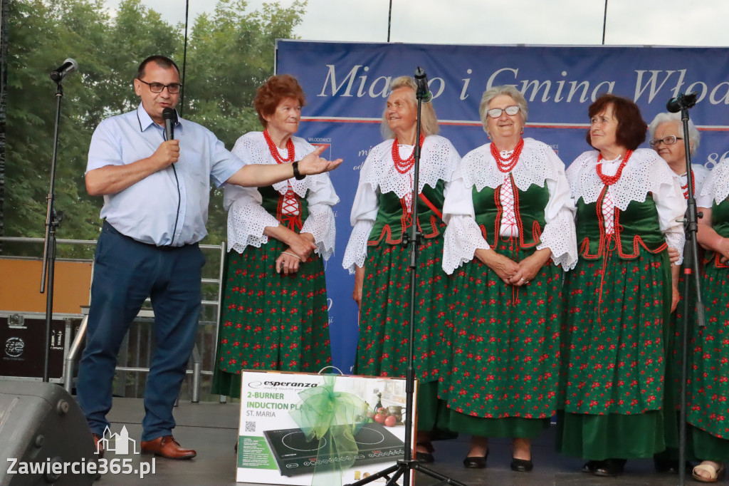 Fotorelacja: Piknik z historią w tle we Włodowicach