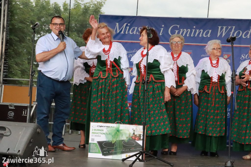 Fotorelacja: Piknik z historią w tle we Włodowicach