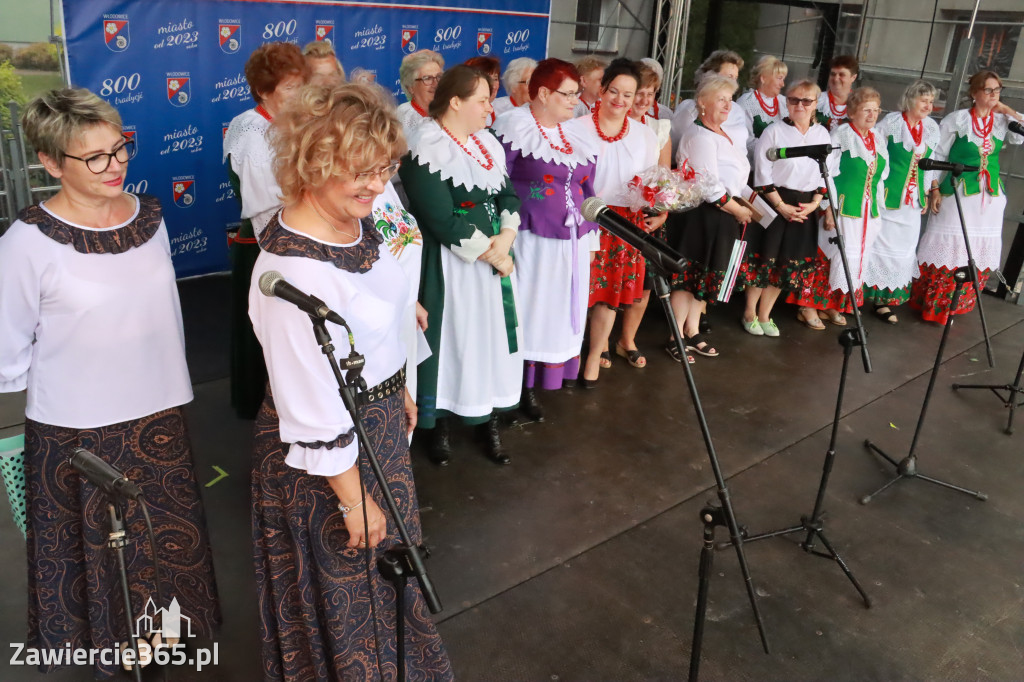 Fotorelacja: Piknik z historią w tle we Włodowicach