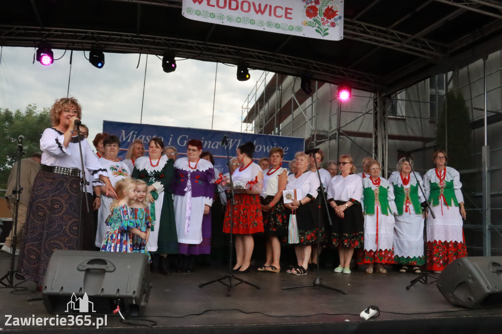 Fotorelacja: Piknik z historią w tle we Włodowicach