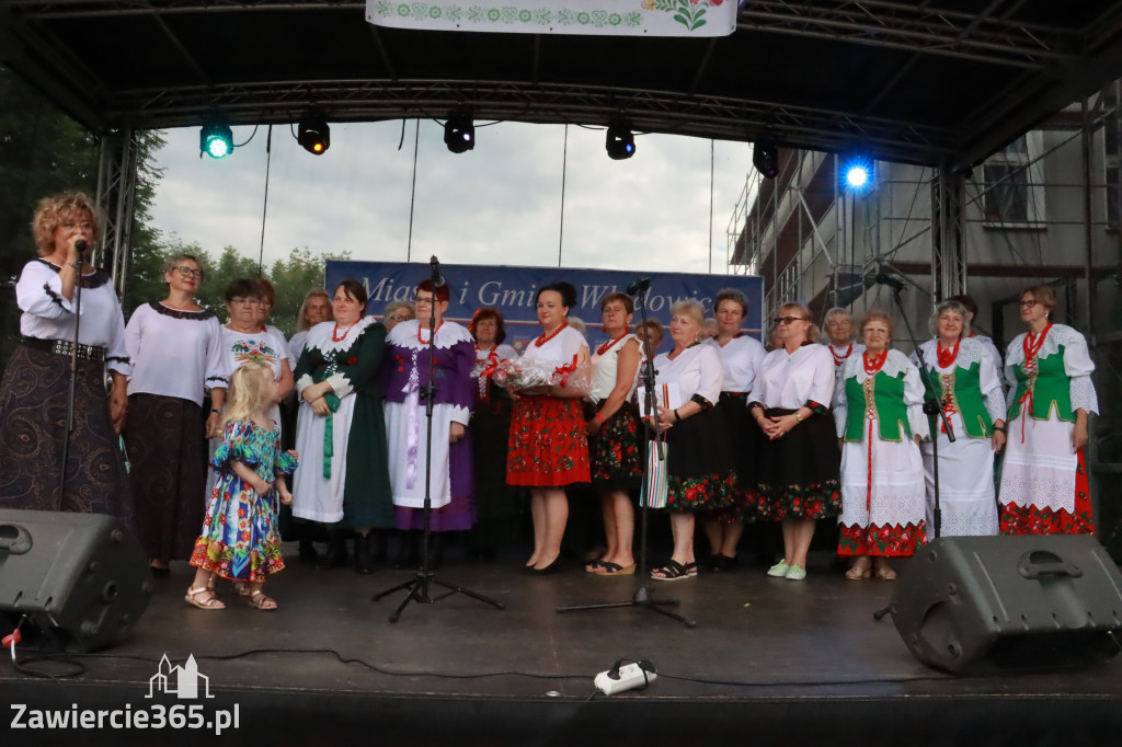 Fotorelacja: Piknik z historią w tle we Włodowicach