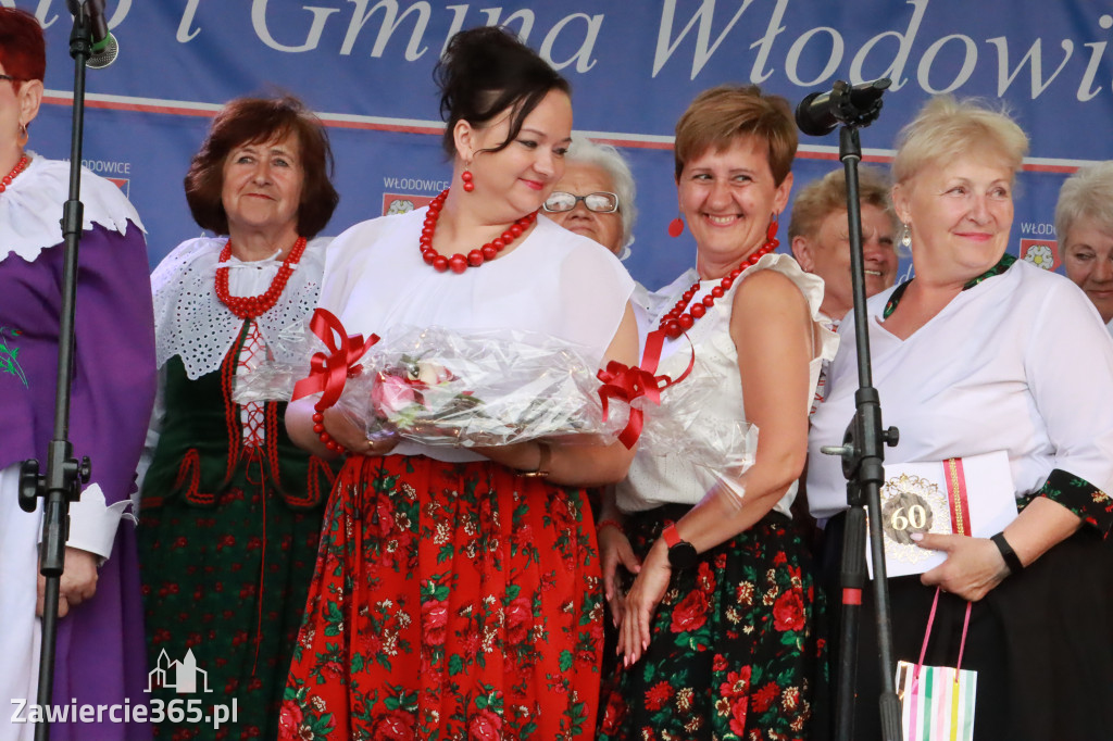 Fotorelacja: Piknik z historią w tle we Włodowicach