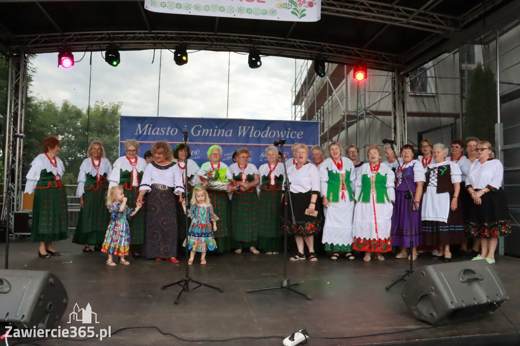 Fotorelacja: Piknik z historią w tle we Włodowicach