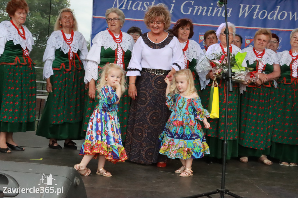 Fotorelacja: Piknik z historią w tle we Włodowicach