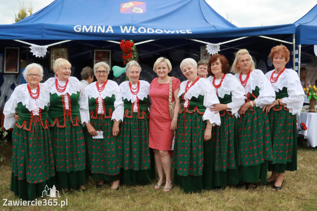 Fotorelacja: Piknik z historią w tle we Włodowicach