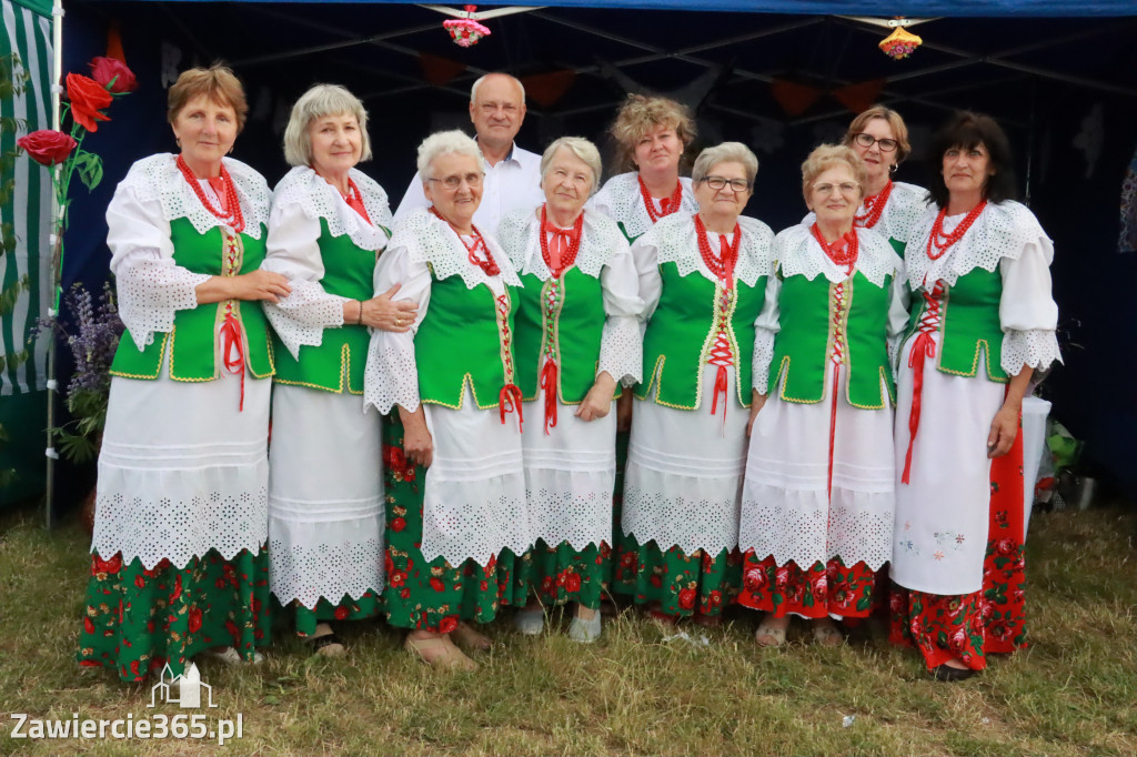 Fotorelacja: Piknik z historią w tle we Włodowicach