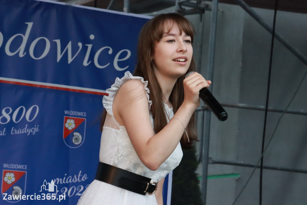 Fotorelacja: Piknik z historią w tle we Włodowicach