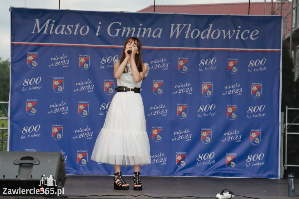 Fotorelacja: Piknik z historią w tle we Włodowicach