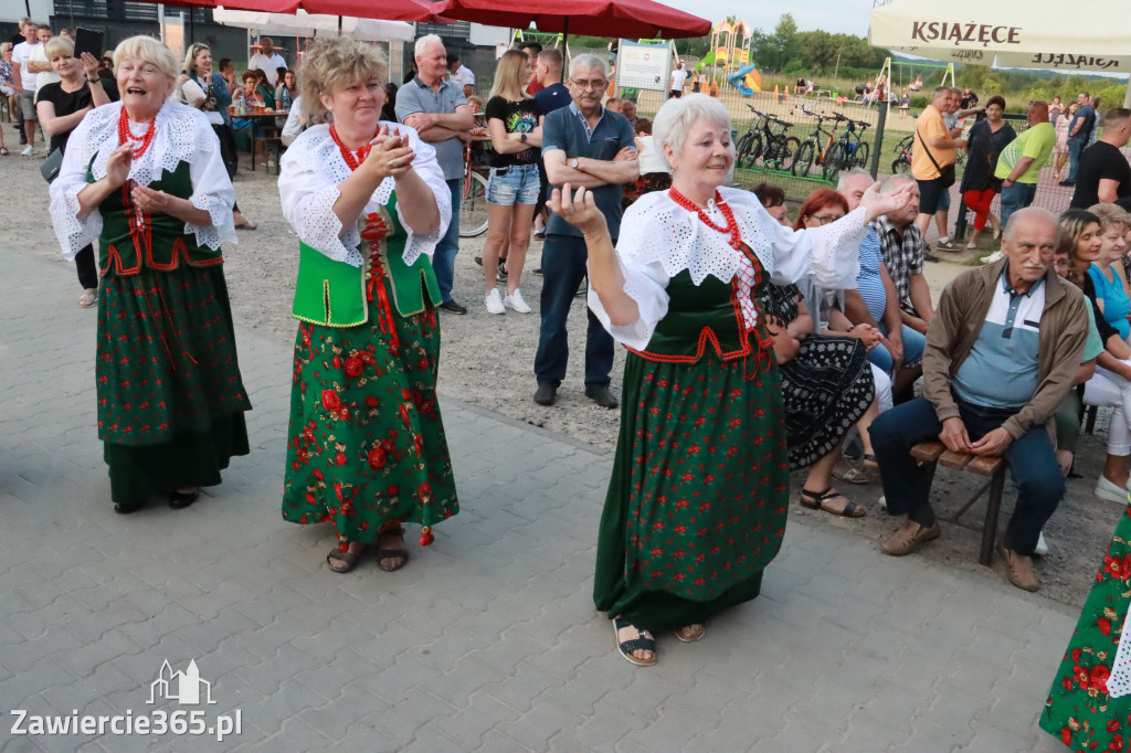 Fotorelacja: Piknik z historią w tle we Włodowicach