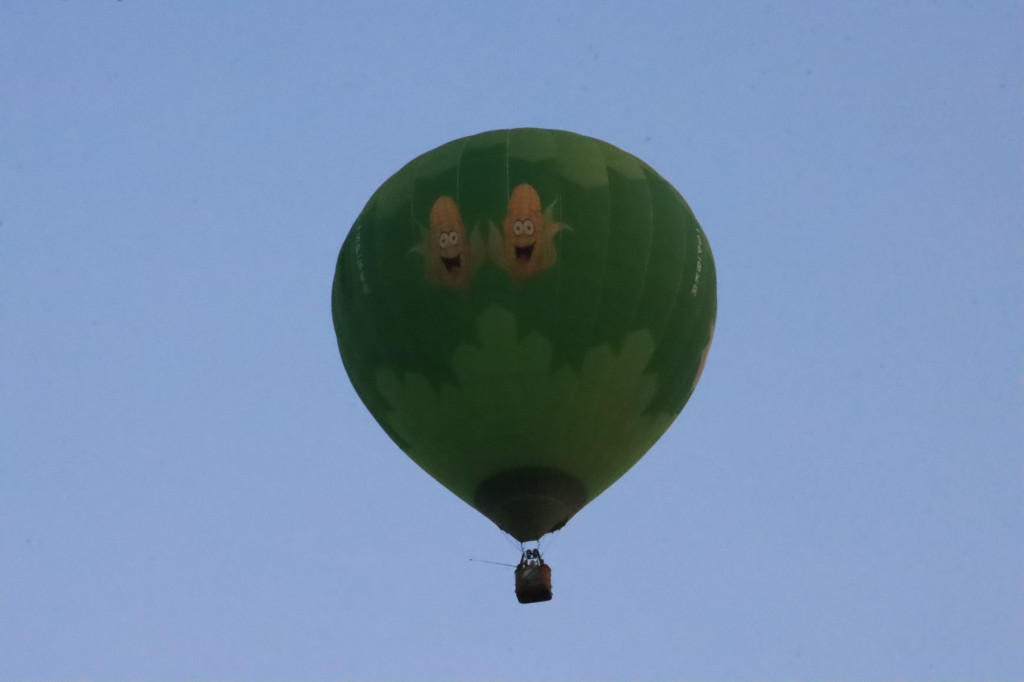 Fotorelacja: II Baloniada na Zamku Ogrodzieniec cz. 2