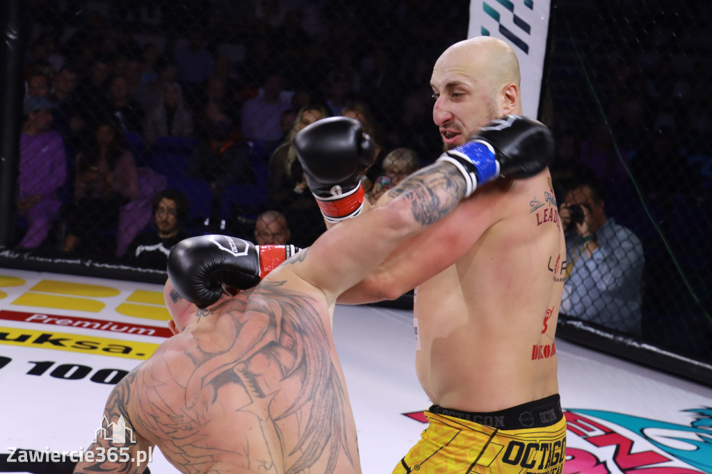 Fotorelacja: Octagon Fight Leauge 13 - Cz. 2